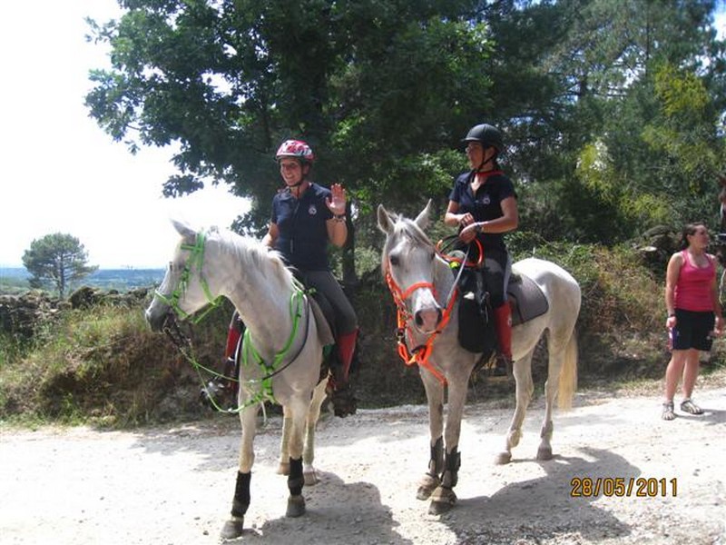 La Selecci&oacute;n Navarra de Trec se clasifica para el Campeonato de Espa&ntilde;a 2011